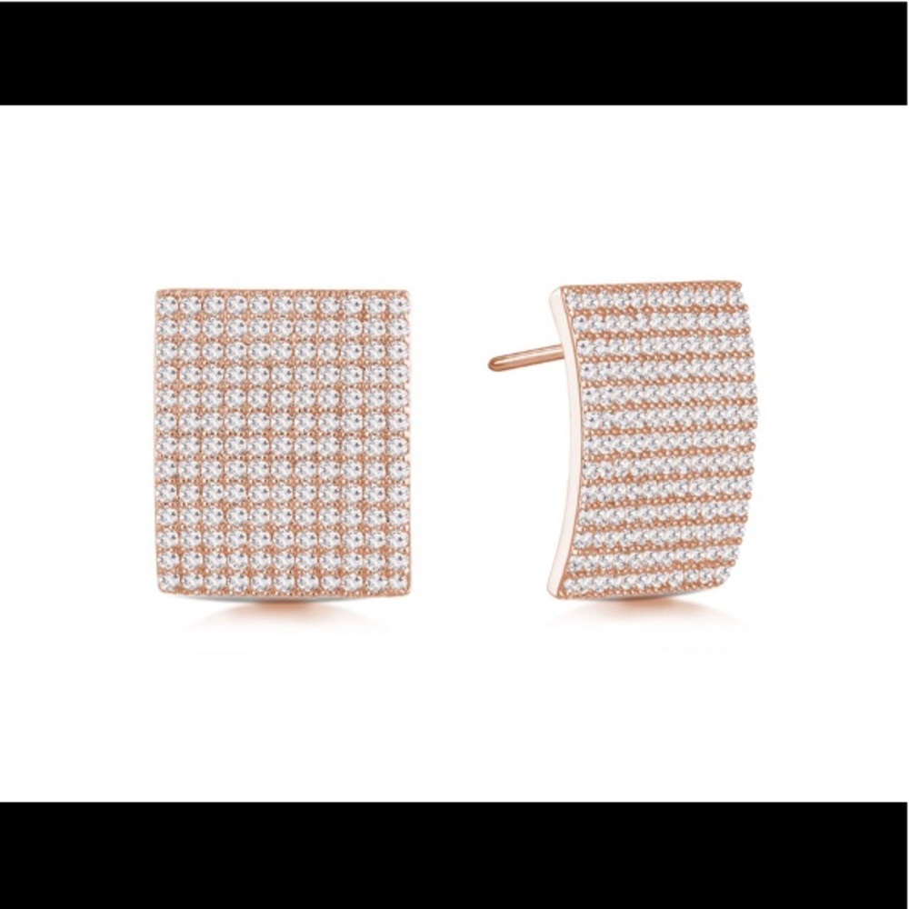 Brand-new! Daniella Swaebe EARRINGS. Brand new!